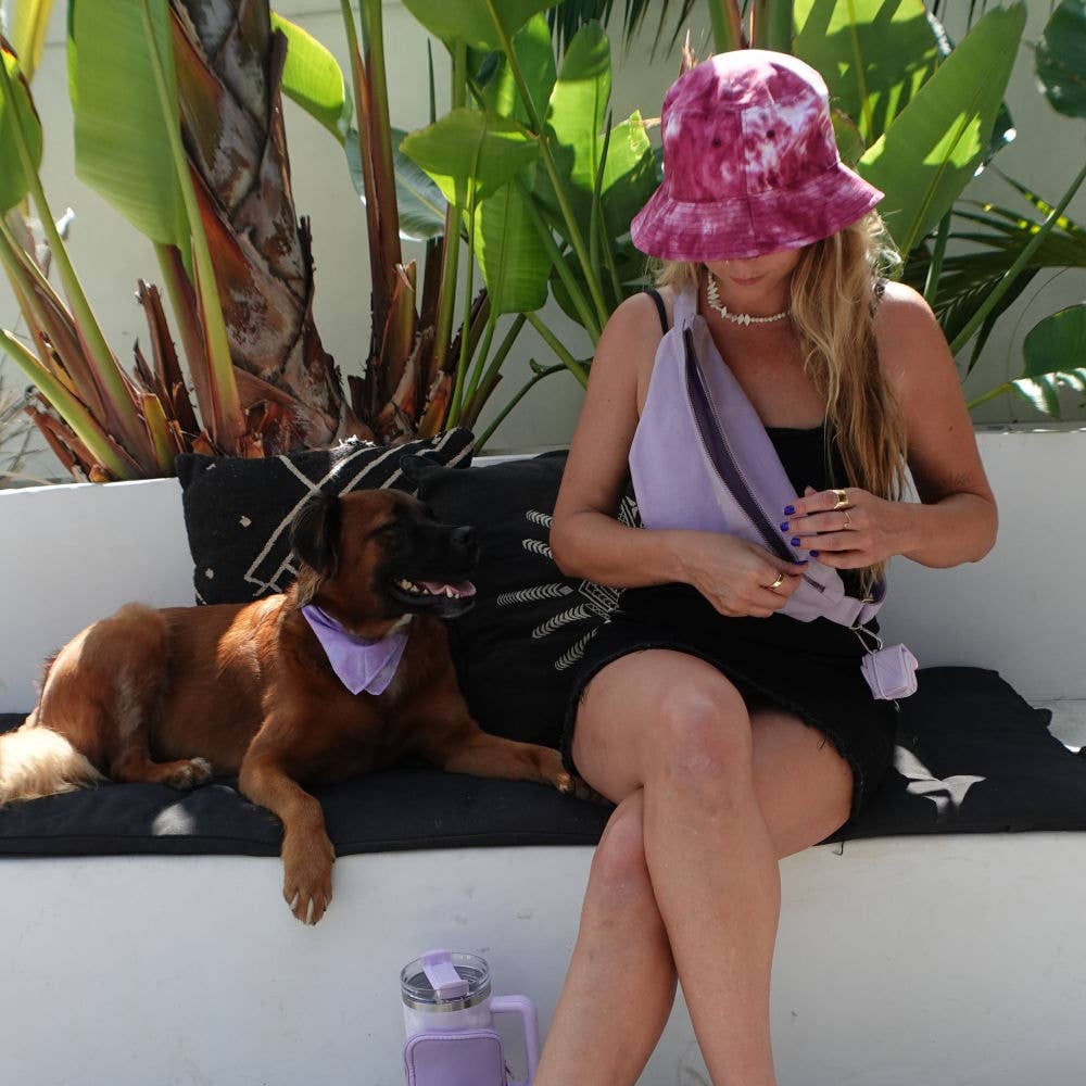 Foldable Pet Food and Water Bowl