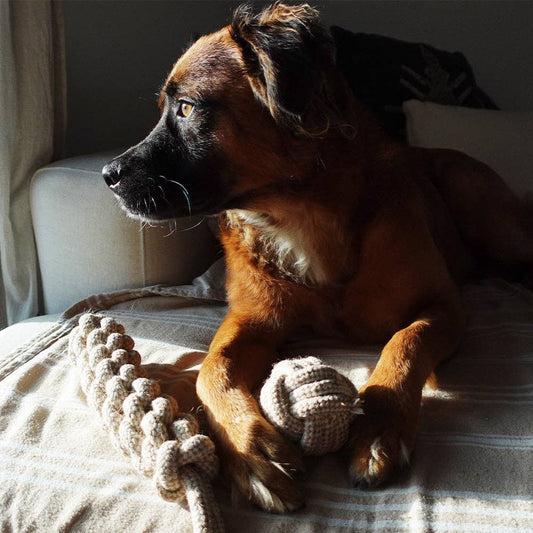 Hemp Rope Dog Ball Toy