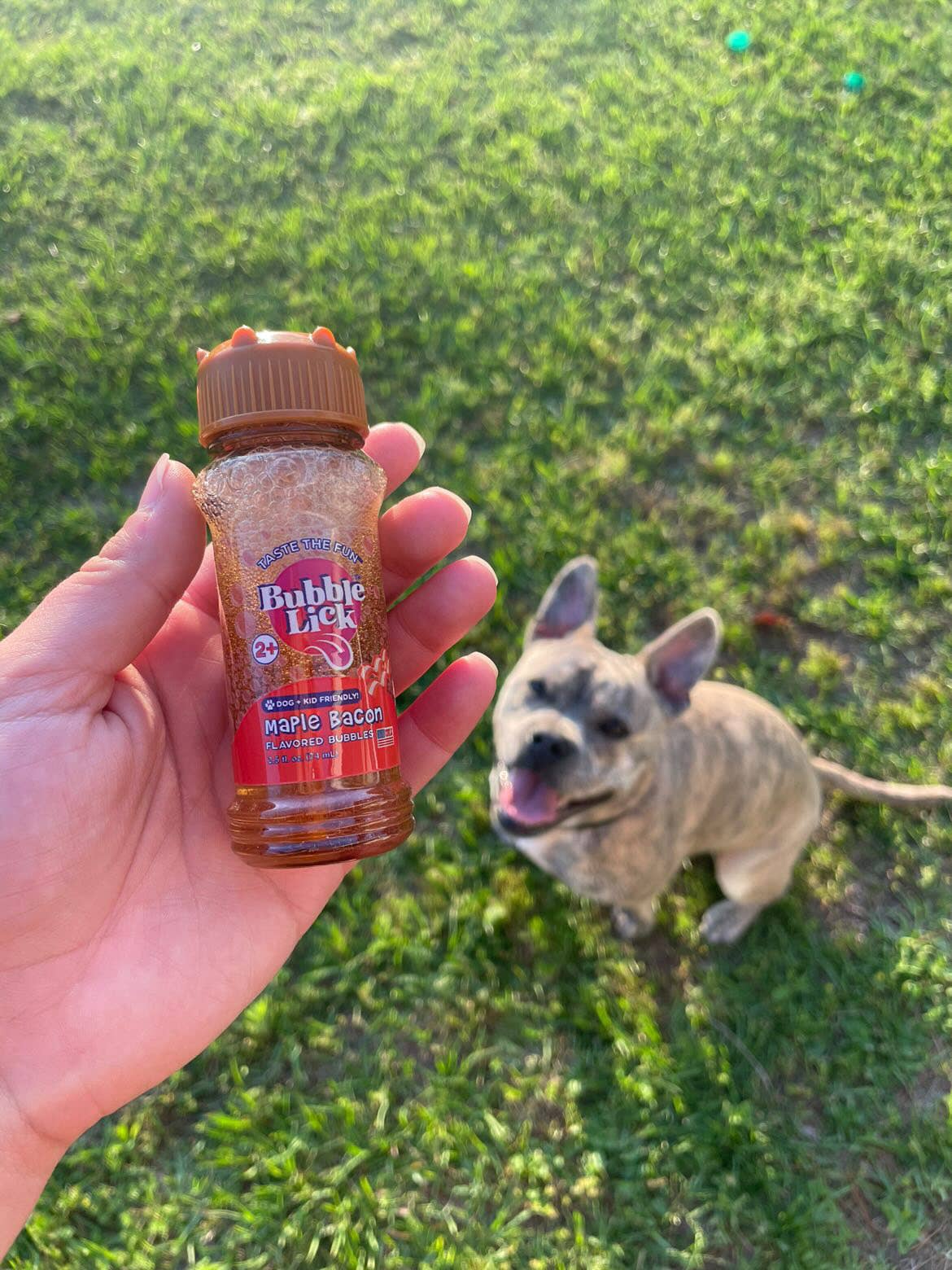 BubbleLick™ Pets Maple Bacon Bubbles