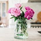 Etu Home French Mason Jar - Multiple Sizes