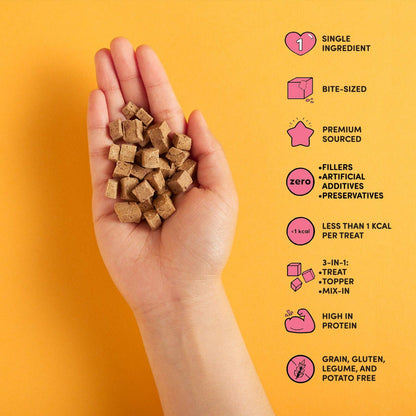 Beef Liver Freeze Dried Treats