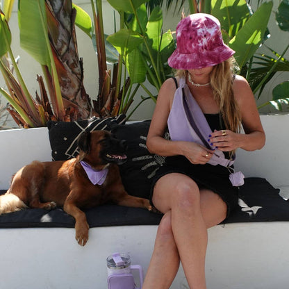 Foldable Pet Food and Water Bowl