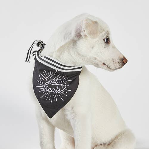 Got Treats? Pet Bandana