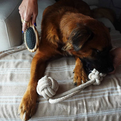 Hemp Rope Dog Ball Toy