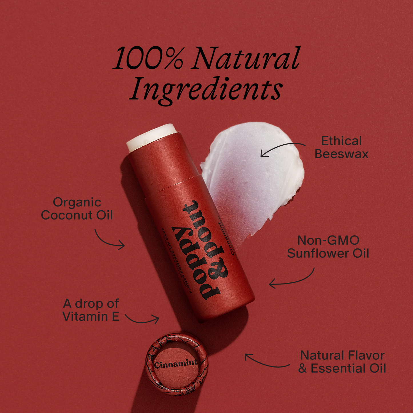 Cinnamint Lip Care Duo