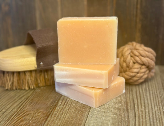 Solid Dog Shampoo