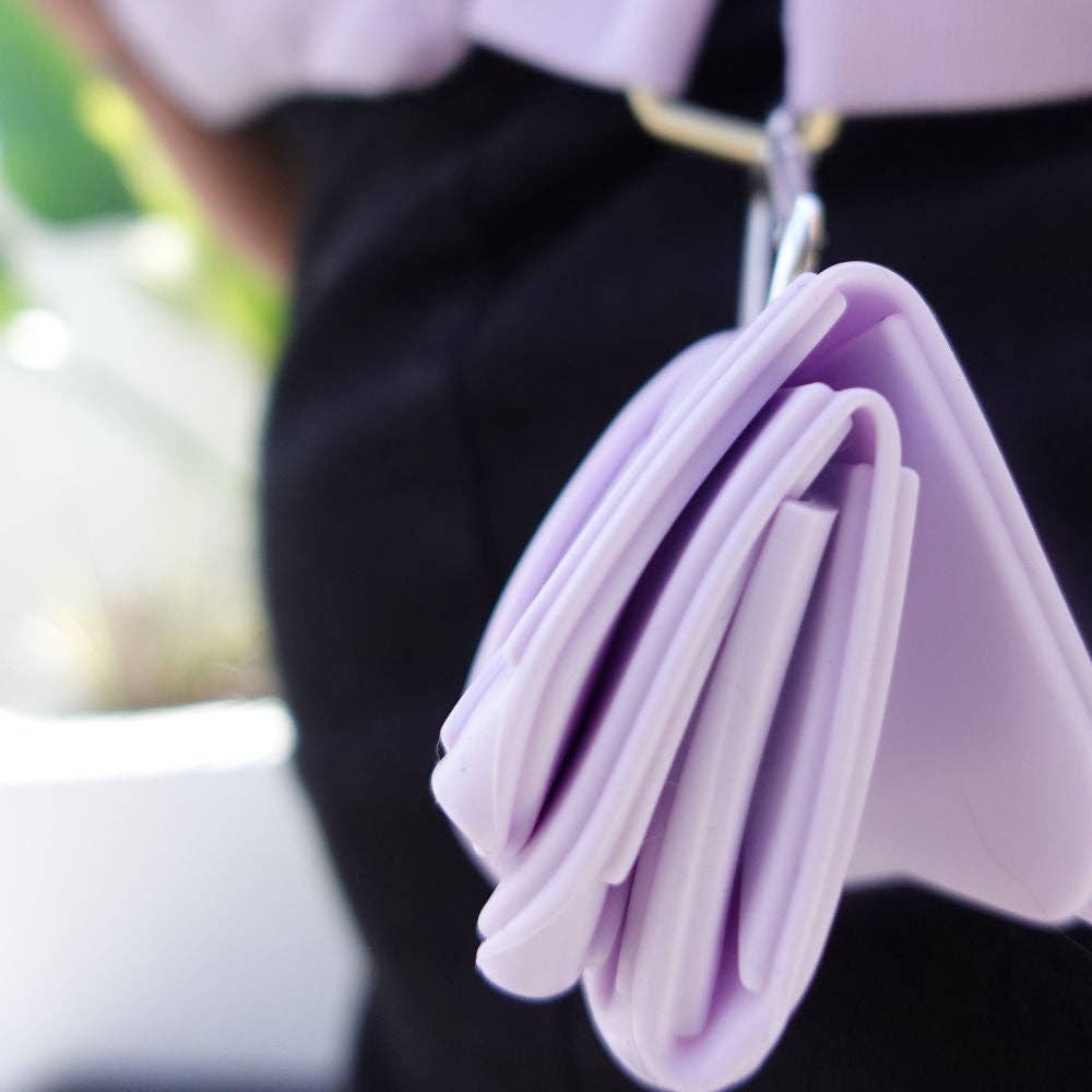 Foldable Pet Food and Water Bowl