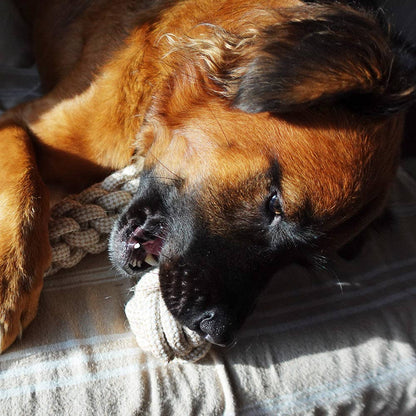 Hemp Rope Dog Ball Toy