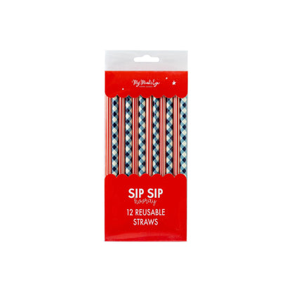Plaid and Stripes Reusable Straws