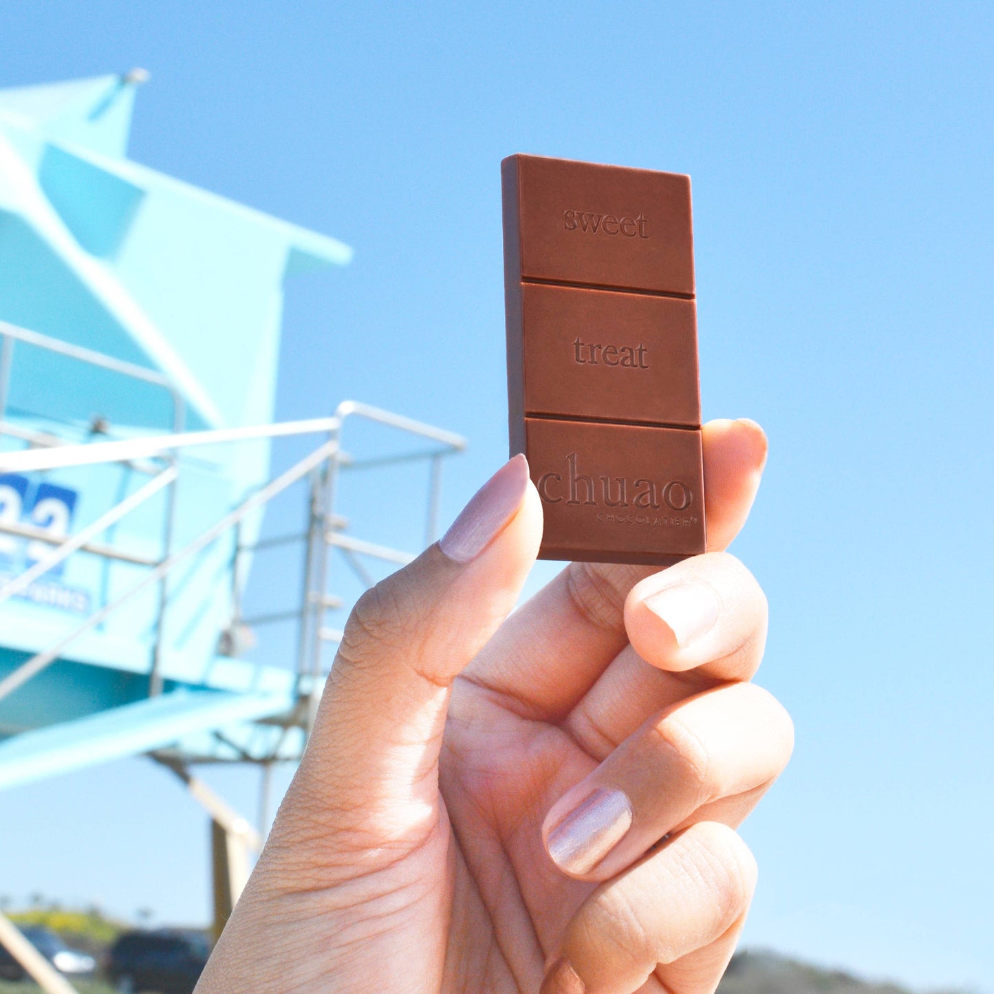 Potato Chip Mini Chocolate Bar