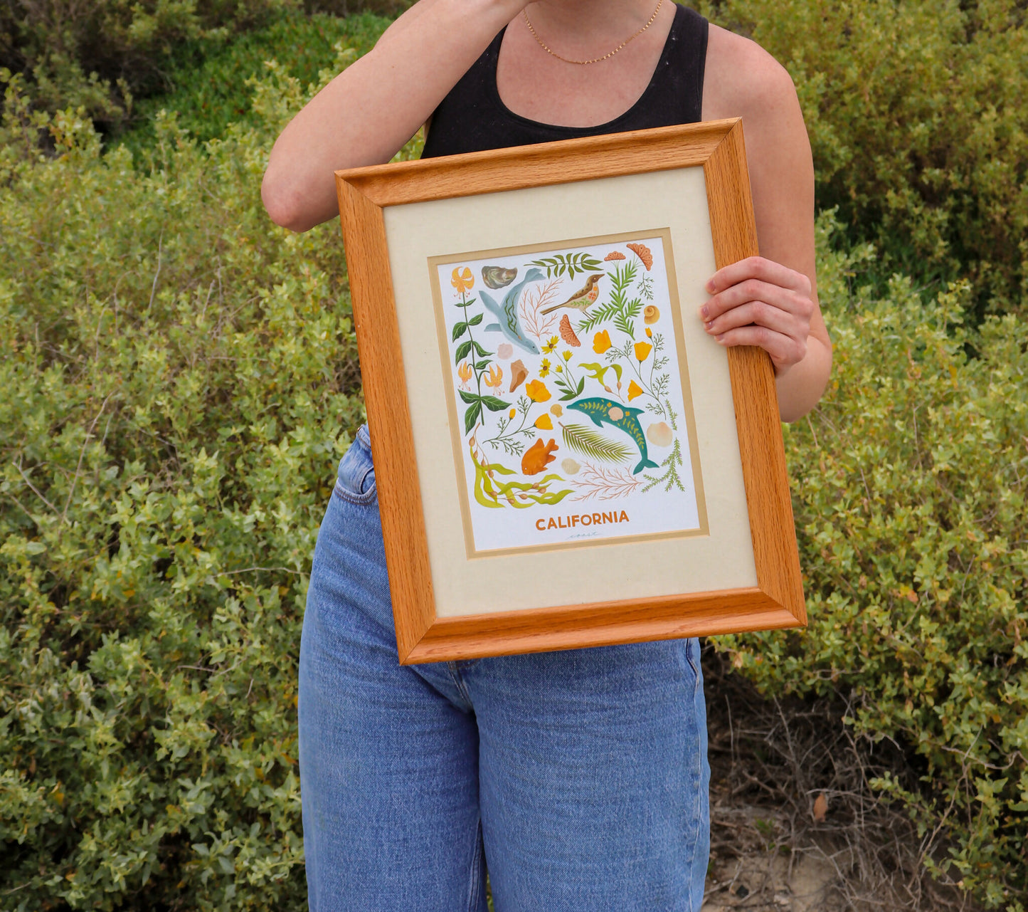 California Flora & Fauna Print