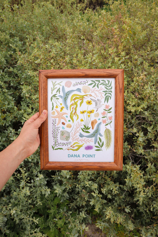 Dana Point Flora & Fauna Print
