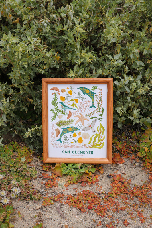 San Clemente Flora & Fauna Print