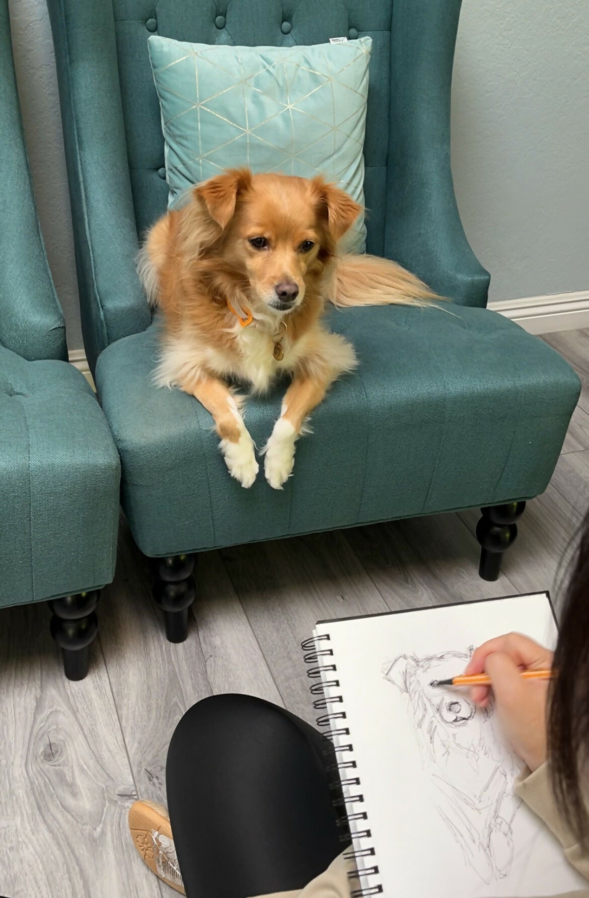 Life Drawing Class (Basic Drawing) - with Dog Models