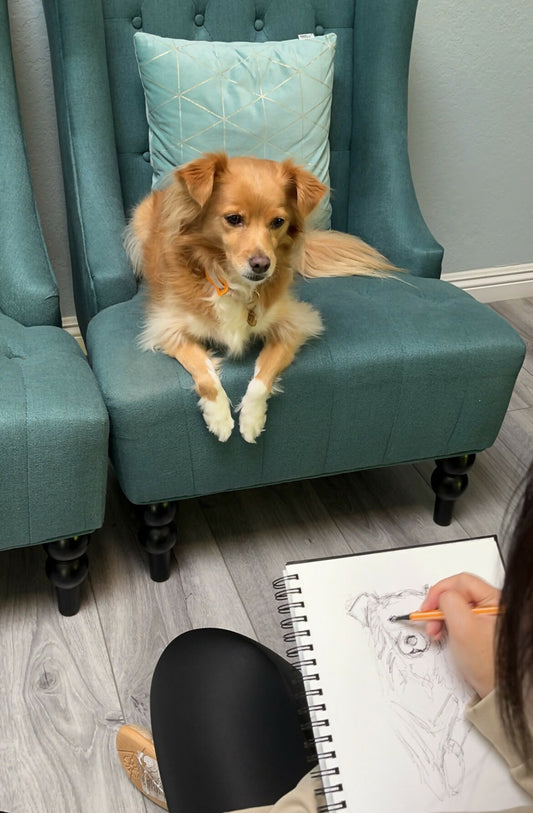 Life Drawing Class (Basic Drawing) - with Dog Models