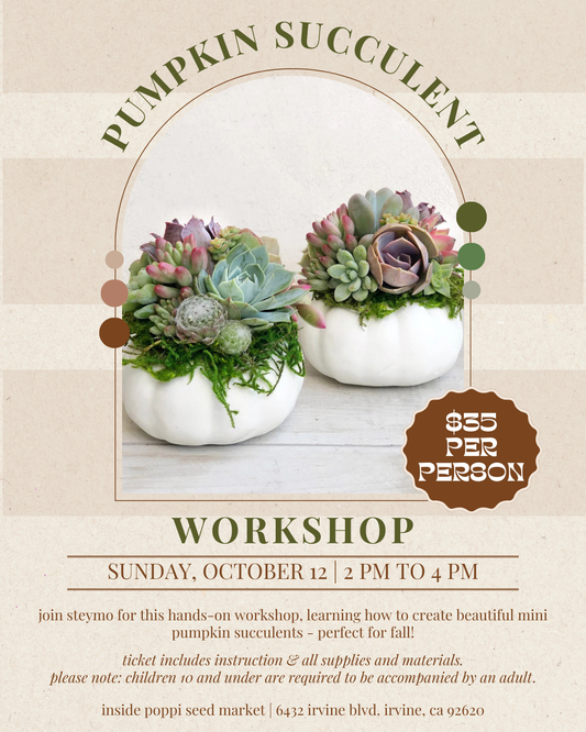 Pumpkin Succulent Workshop