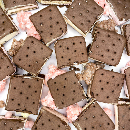 Freeze Dried Ice Cream Sandwiches