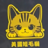 Cat Bumper stickers Series